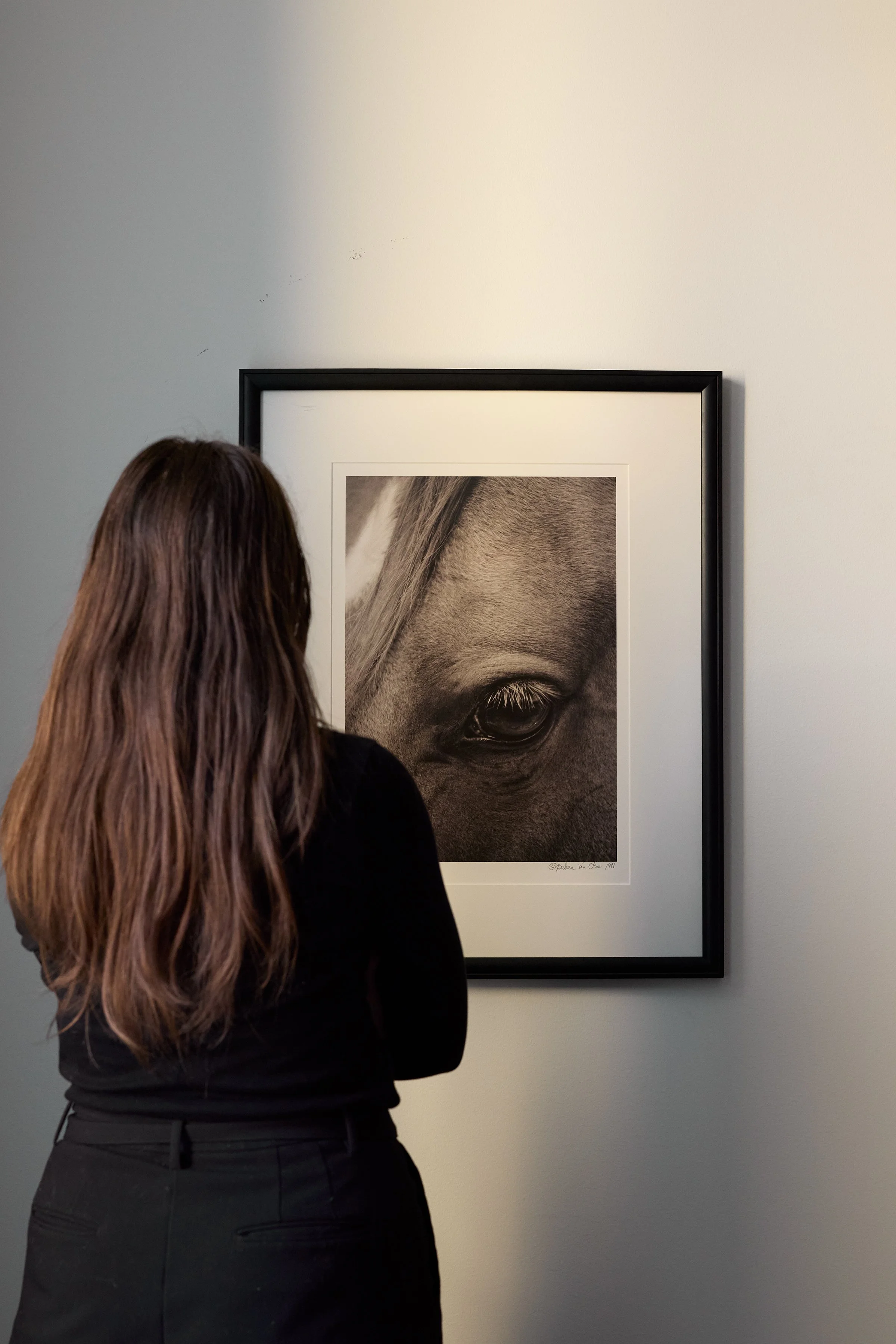 Various Artists — KKFA